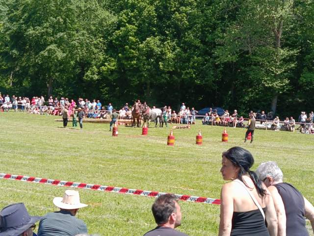 IMG_20260523_123321